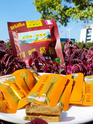 葛根加盟,戒檳榔項目,葛根品牌,葛根公司